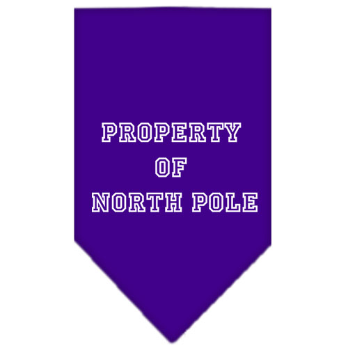 Property of North Pole Screen Print Bandana Purple Large