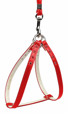 Step-In Harness Red w/ Red Stones 12