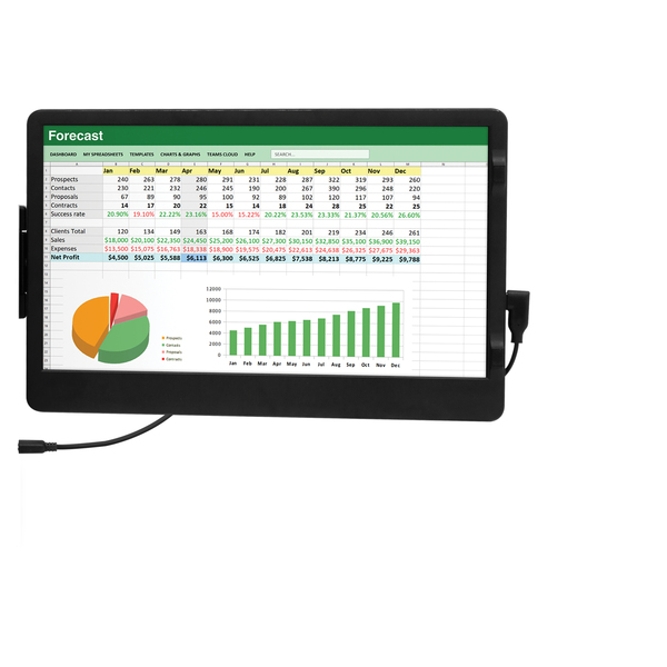 11.6IN USBC PRT LPTP MNTR