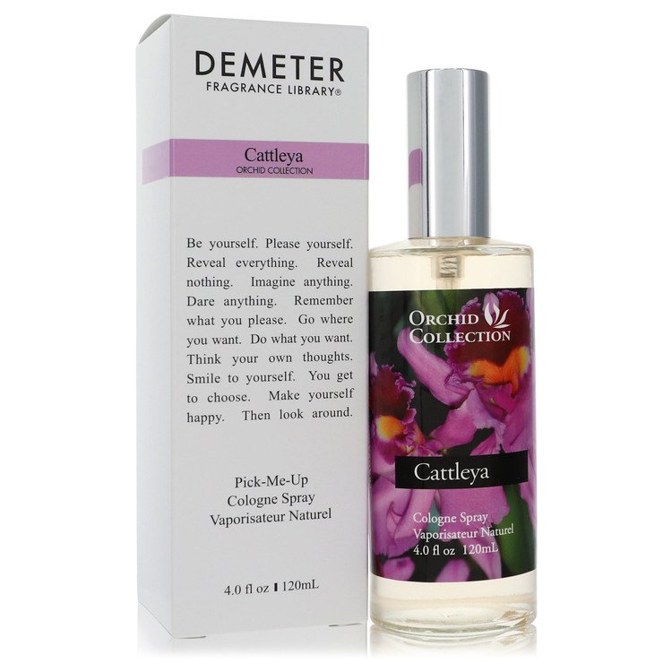 Demeter Cattleya Orchid by Demeter