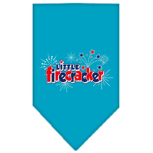 Little Firecracker Screen Print Bandana Turquoise Small