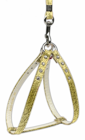 Step-In Harness Gold w/ AB Stones 8