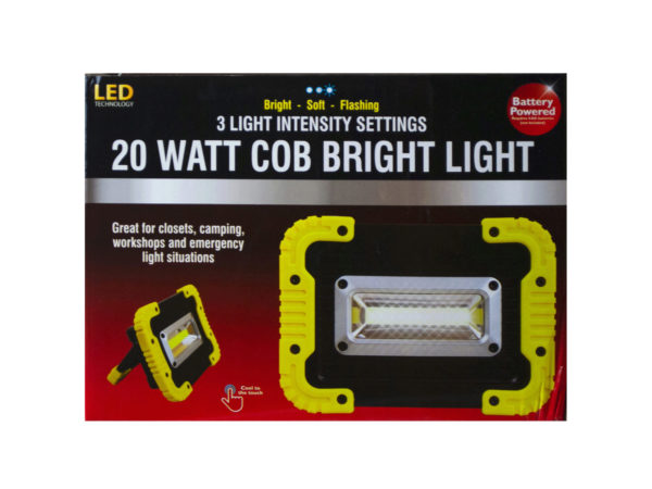Case of 2 - 20 Watt Cob Bright Light