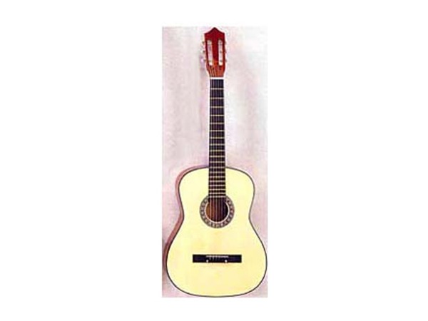 Case of 1 - 6-String Acoustic Guitar