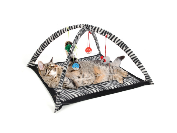 Case of 1 - Zebra Print Cat Play Tent with Dangle Toys