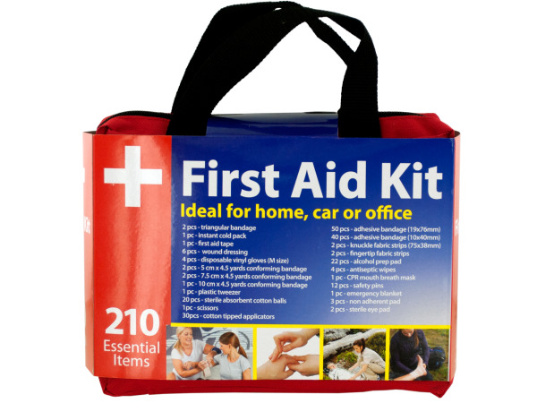 Case of 1 - First Aid Kit in Easy Access Carrying Case