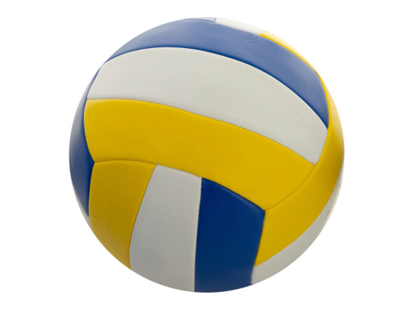 Case of 2 - Size 5 Yellow & Blue Volleyball